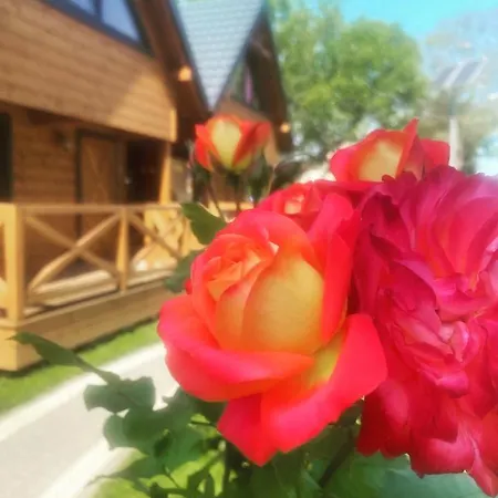 Osada Międzywodzie