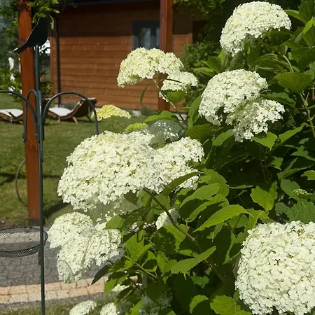 Osada * Międzywodzie