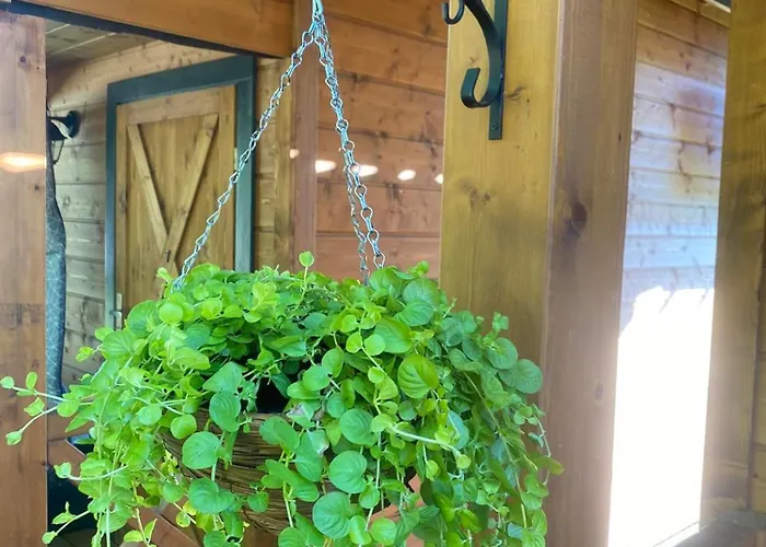 Osada * Międzywodzie