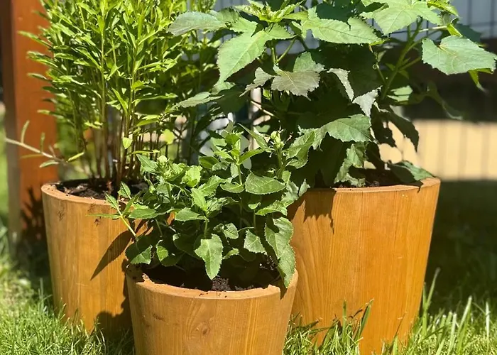 Osada Prázdninový dům